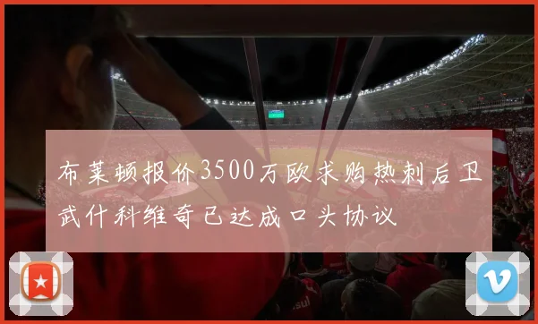 布莱顿报价3500万欧求购热刺后卫武什科维奇已达成口头协议
